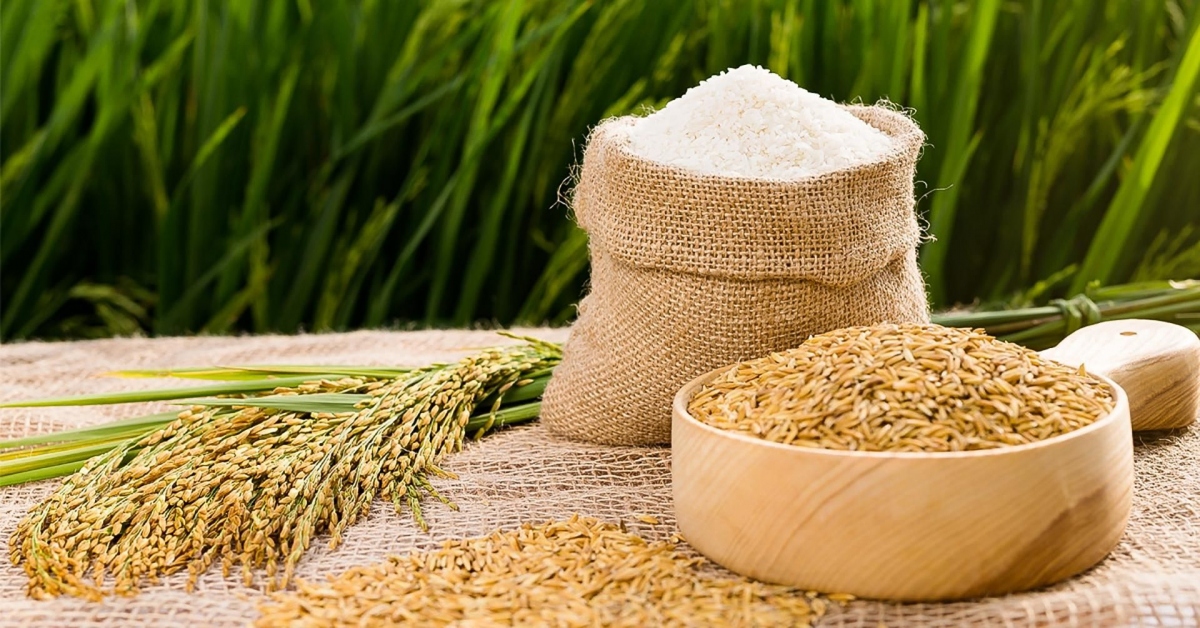 Philippines is Vietnam’s largest rice consumer in 2023